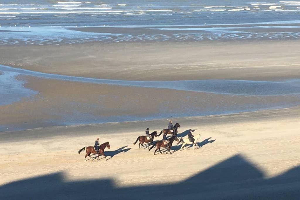 Entre dunes et mer Bray-Dunes Extérieur photo