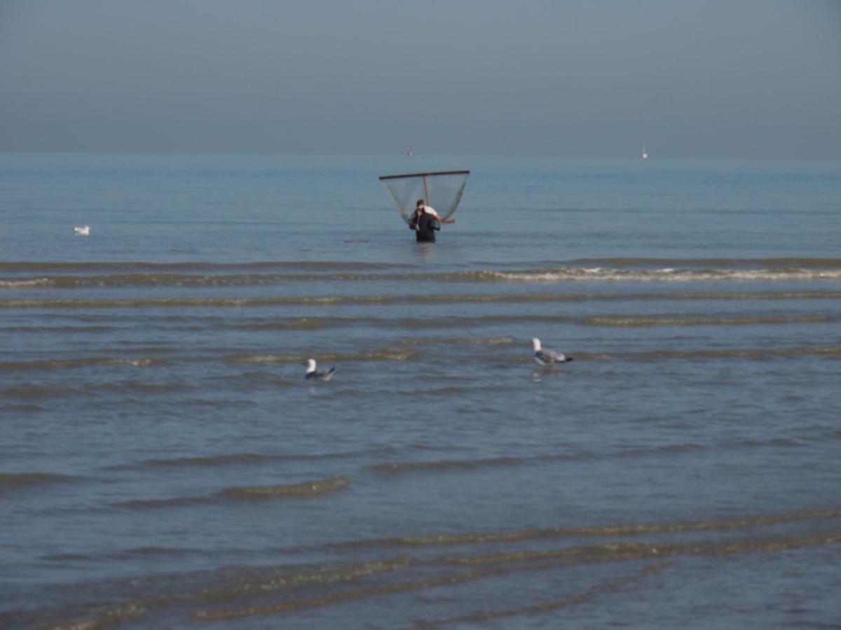 Entre dunes et mer Bray-Dunes Extérieur photo
